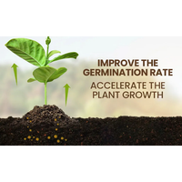 Soil Activator: Plants' Best Friend - Rejuvenate Your Plants